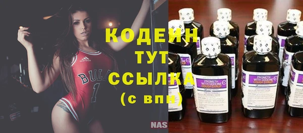 ПСИЛОЦИБИНОВЫЕ ГРИБЫ Корсаков