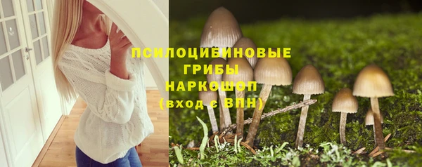 mdpv Коряжма