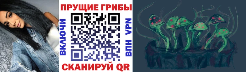 Галлюциногенные грибы GOLDEN TEACHER  Купить где  Кедровый 